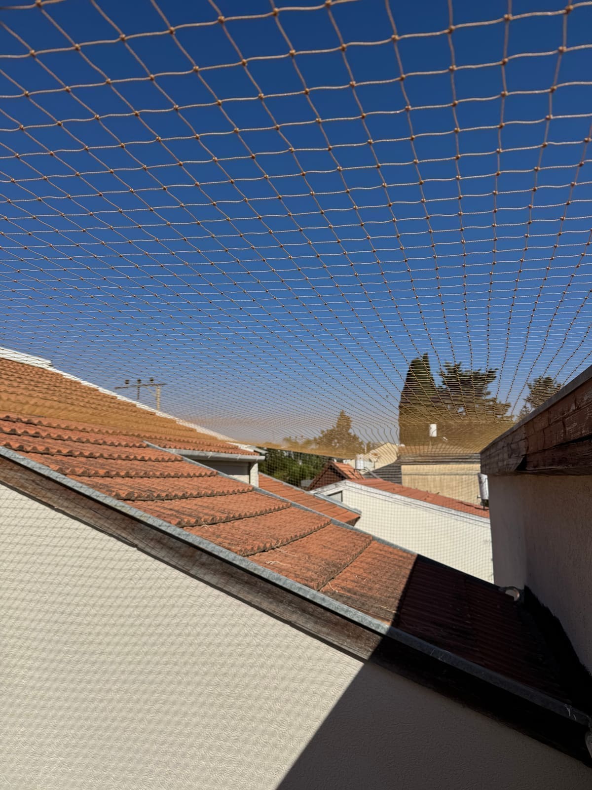 רשת יונים על גג רעפים