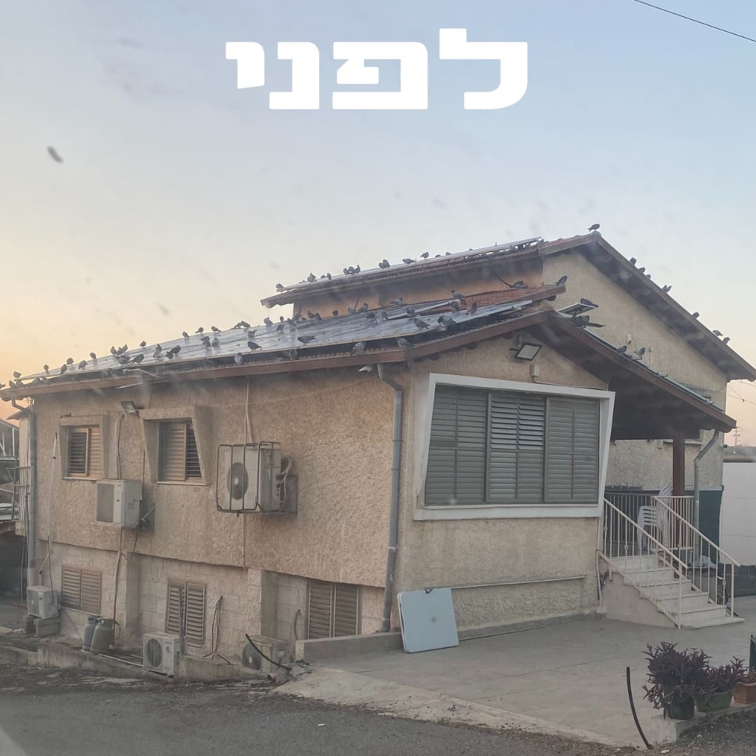 לפני התקנה — יונים מקננות על גג ופאנלים סולאריים