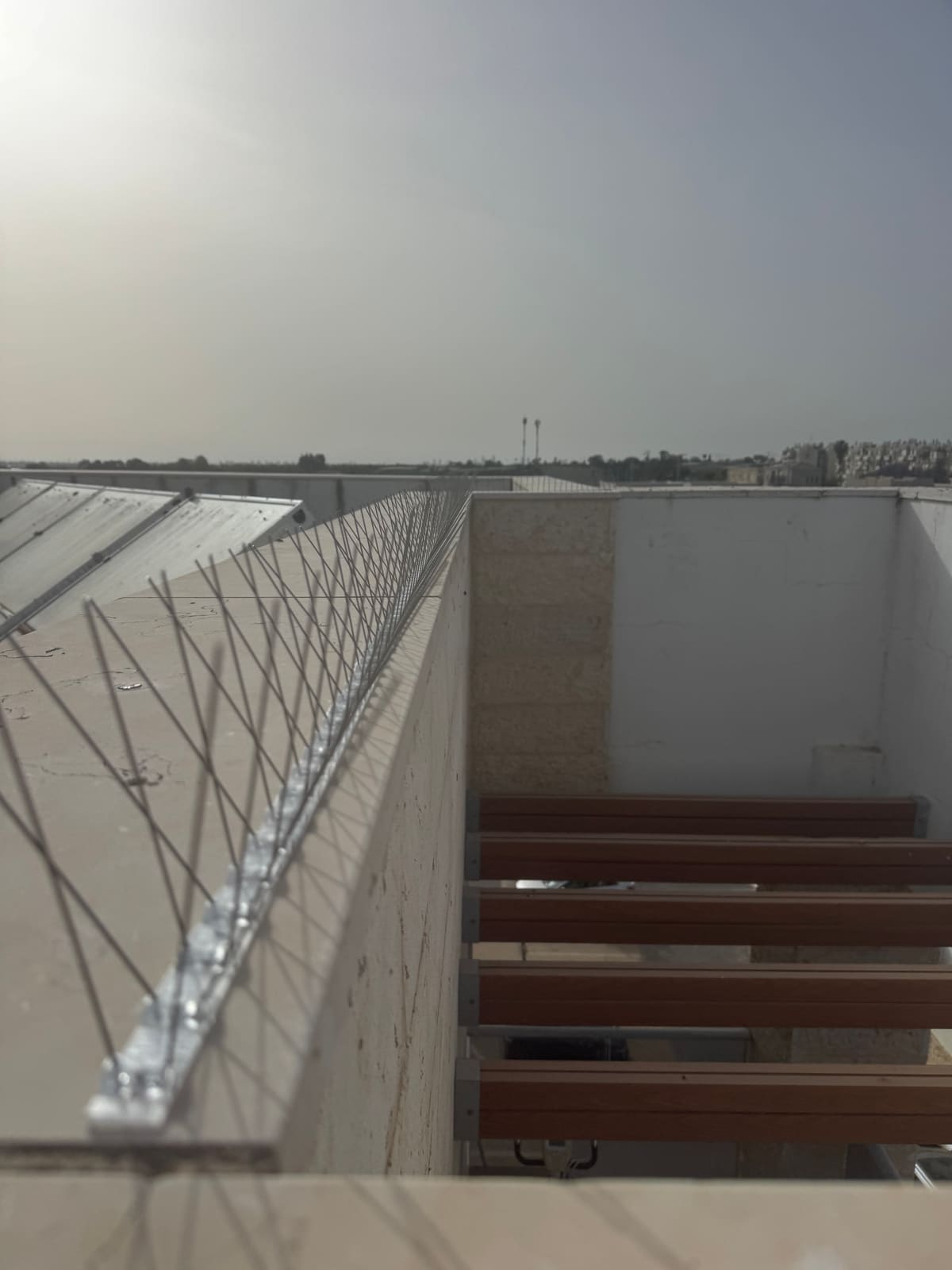 דוקרני יונים על קצה גג ומעקה