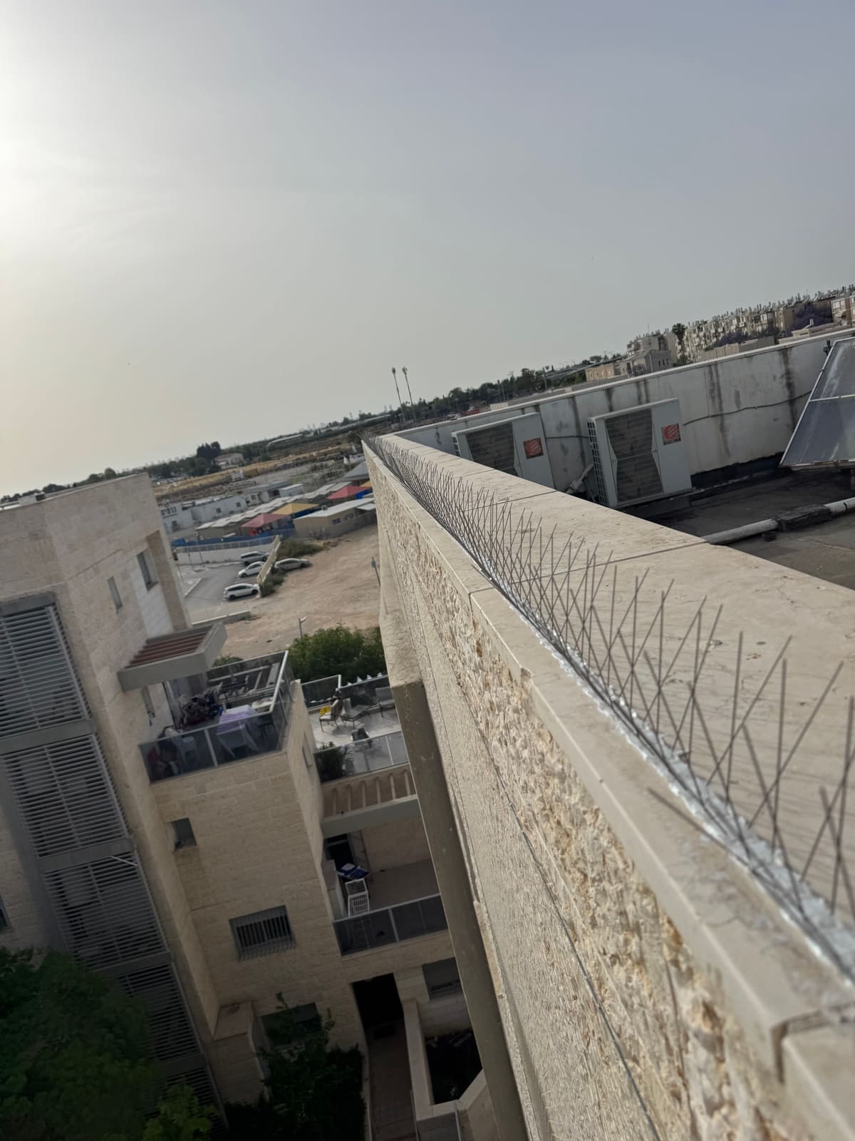 דוקרני יונים על קיר גג בבניין מגורים